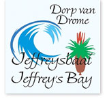 dvd logo